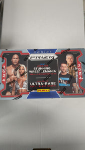 WWE Panini Prizm 2024