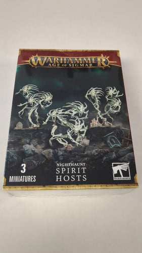 Warhammer Age of Sigmar Nighthaunt Spirit Hosts 3 Miniatures